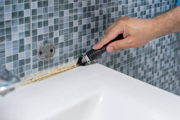 Best Emergency Mold Removal  in International Falls, MN