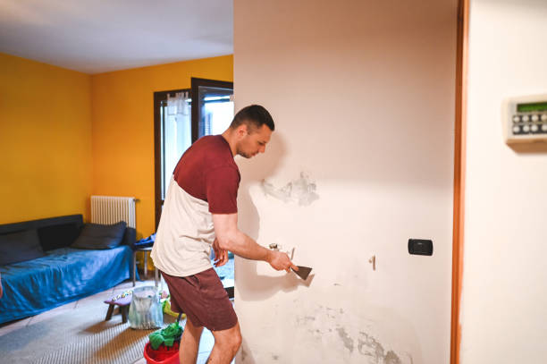 Best Commercial Mold Removal  in International Falls, MN